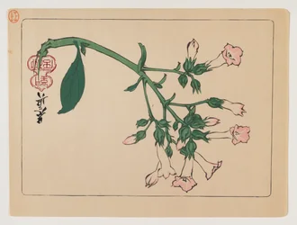 Plante à fleurs de la série Hana Kurabe, vers 1880